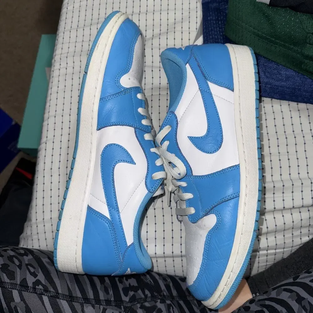 Size 13 - Eric Koston x Air Jordan 1 SB Low Powder Blue LEP UNC